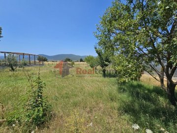 0a17ef135db34c0c85b4f0b8c9d82e24