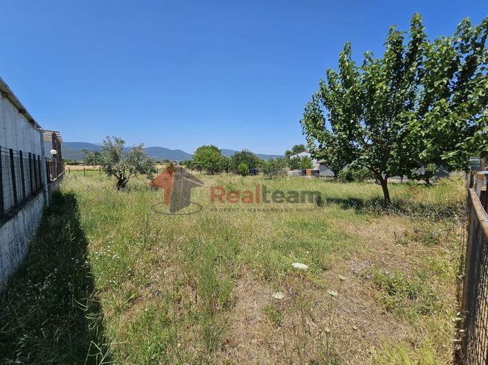 Image No.6-Property for sale