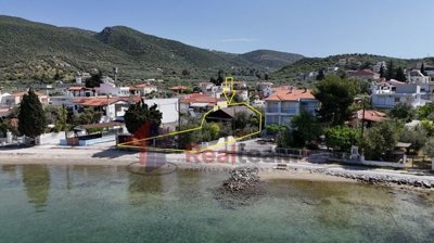 img5b1737a1-6176-4c32-9b86-5af237698d2d