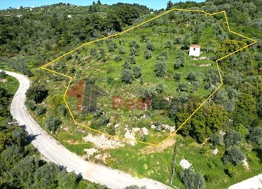 imgc9468022-11b3-4d01-afc3-d48233b9855e