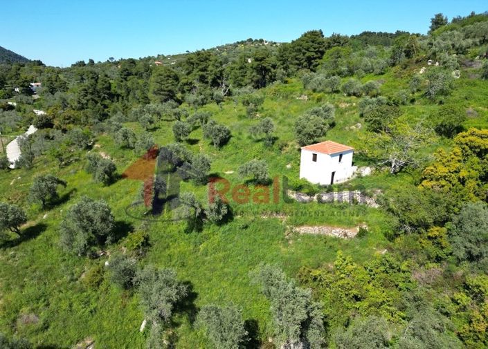 Image No.10-Property for sale