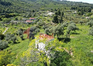 img8a53bfca-3047-4f8b-8fe4-d9abe6f3d101