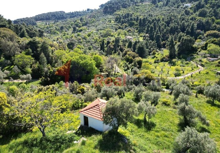 Image No.12-Property for sale