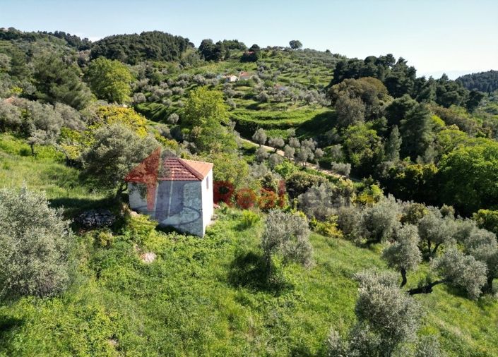 Image No.13-Property for sale