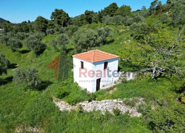 img205a6a10-c93e-46d1-bb6d-3c1819f76fb5