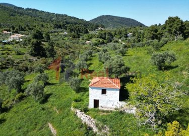 img9c335373-229f-43a9-b2b0-b7cfbfd7ebc9