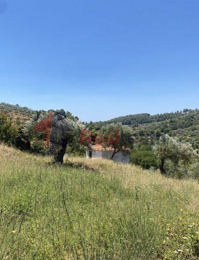 Image No.18-Property for sale