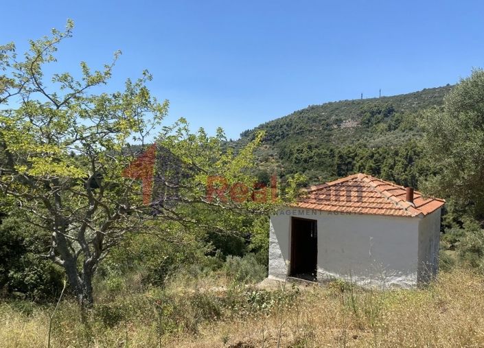 Image No.21-Property for sale