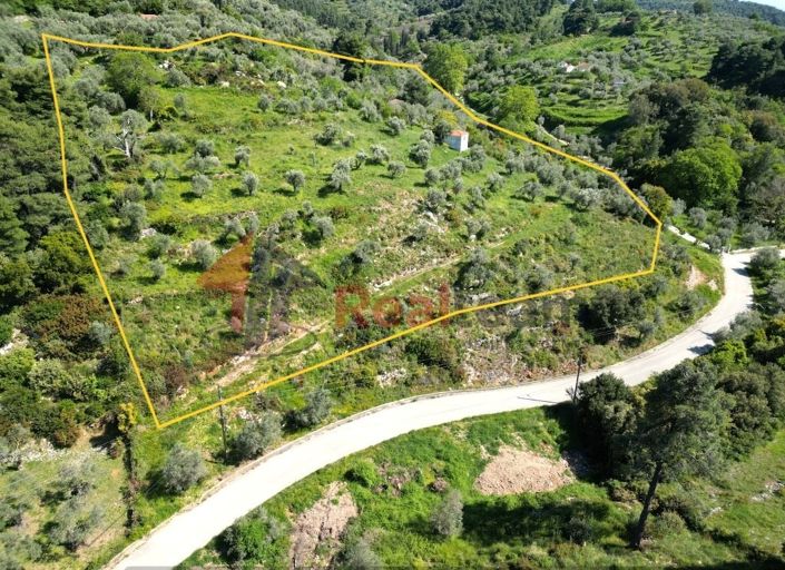 Image No.3-Property for sale