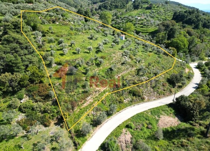 Image No.4-Property for sale