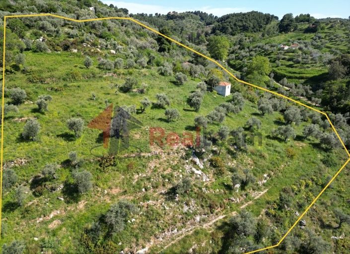 Image No.6-Property for sale