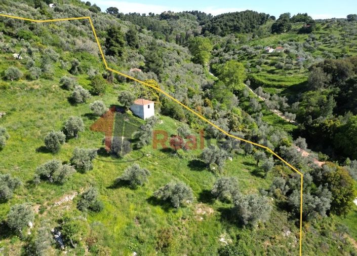 Image No.7-Property for sale