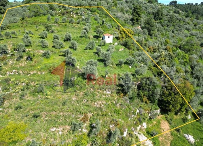 Image No.8-Property for sale