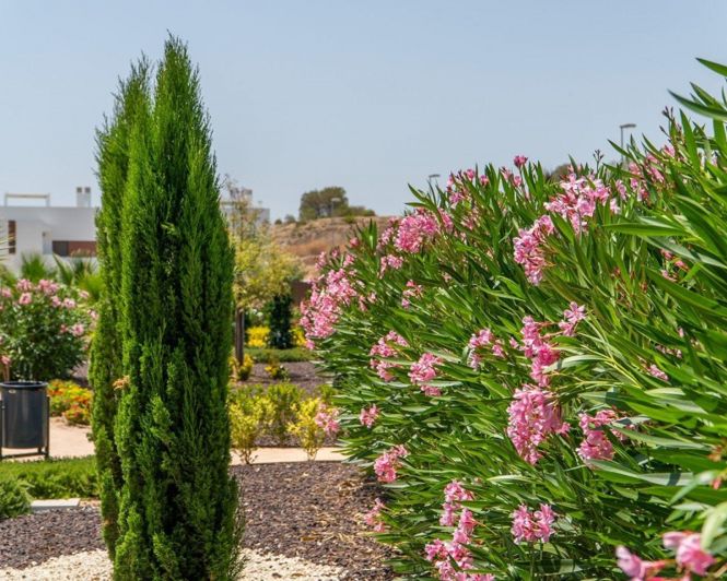 Image No.22-2 Bed Apartment for sale