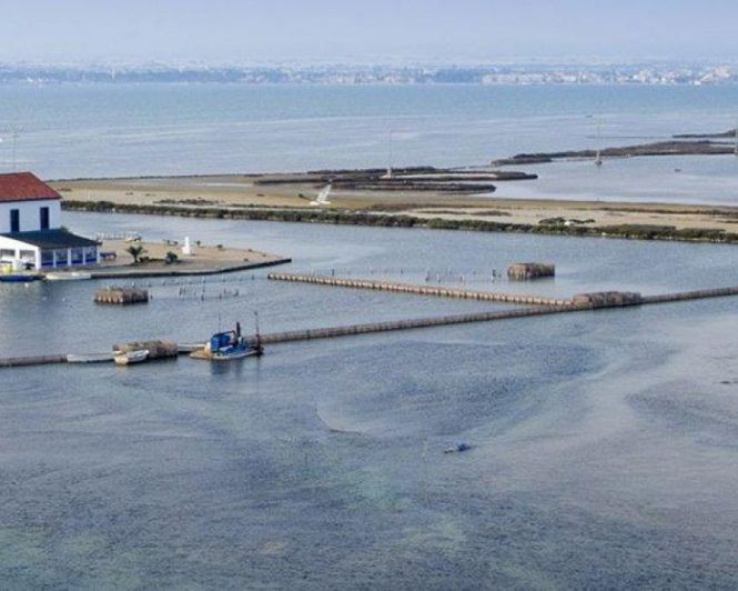 Image No.9-3 Bed Villa for sale