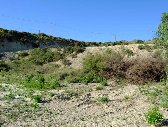 Image No.12-2 Bed Country House for sale