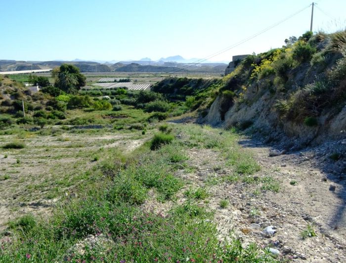 Image No.7-2 Bed Country House for sale