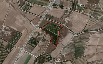 Field in Geroskipou, Paphos