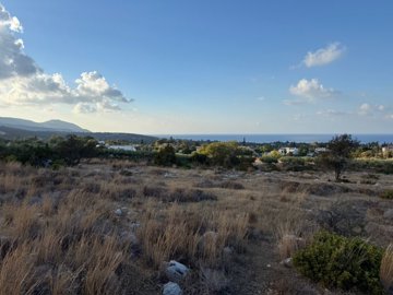 Agricultural Land For Sale  in  Latchi