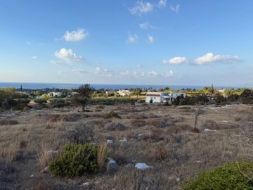 Agricultural Land For Sale  in  Latchi