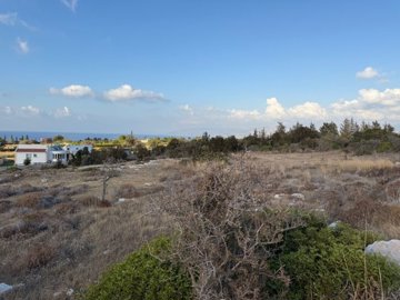 Agricultural Land For Sale  in  Latchi