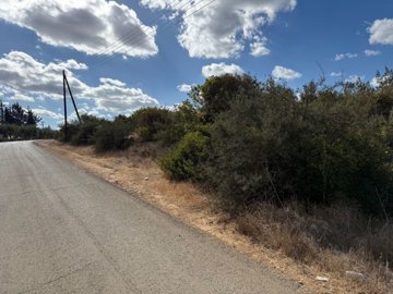 Agricultural Land For Sale  in  Latchi