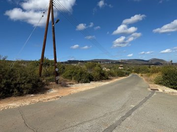 Agricultural Land For Sale  in  Latchi