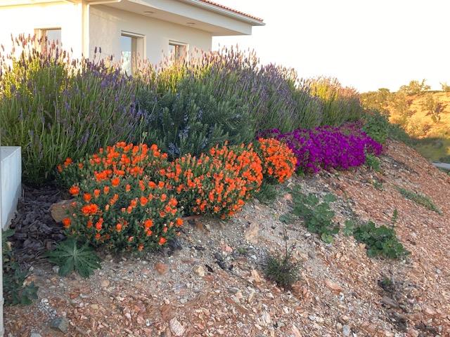 Image No.15-3 Bed Villa for sale