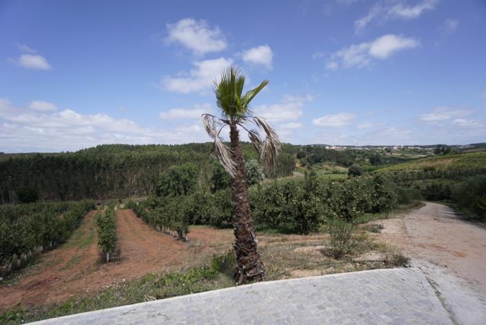 Image No.24-9 Bed Mansion for sale