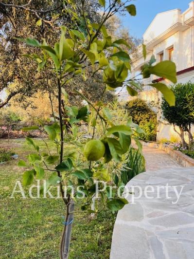 Image No.34-4 Bed Villa / Detached for sale