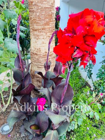 Image No.36-4 Bed Villa / Detached for sale