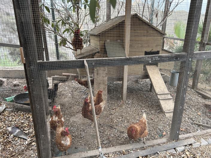 Image No.15-4 Bed Chalet for sale