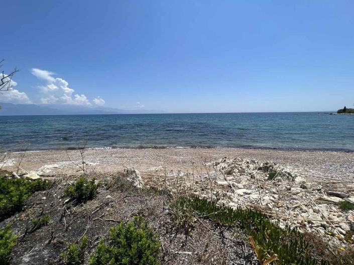 Image No.3-Commercial for sale