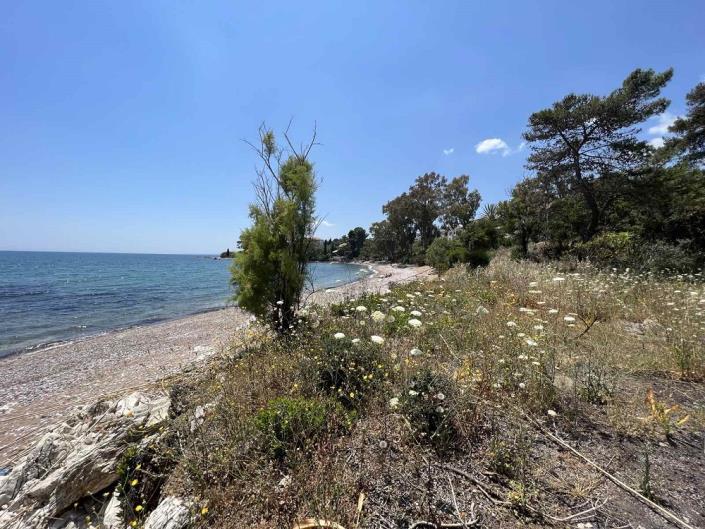 Image No.6-Commercial for sale