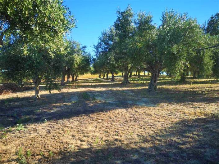 Image No.10-2 Bed House for sale