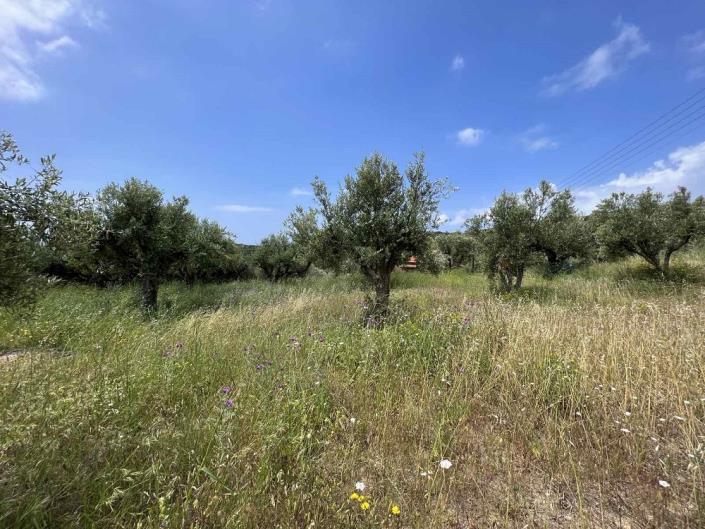 Image No.12-Cottage for sale