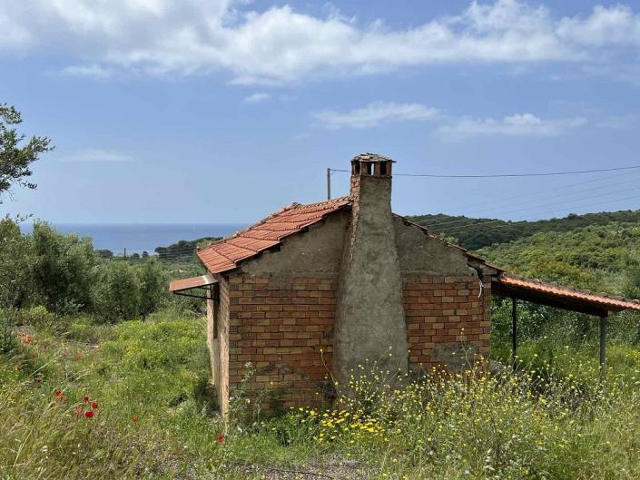 Image No.3-Cottage for sale