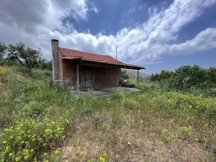 Image No.5-Cottage for sale