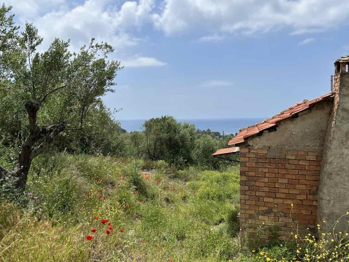 Image No.8-Cottage for sale