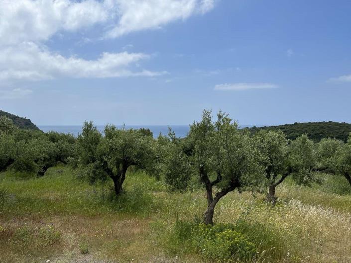 Image No.11-Cottage for sale