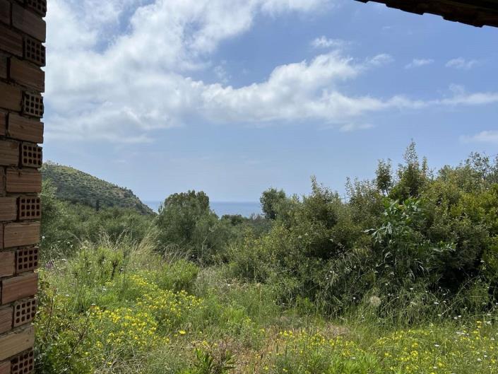 Image No.9-Cottage for sale