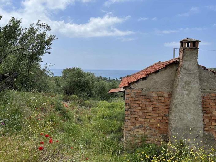 Image No.7-Cottage for sale