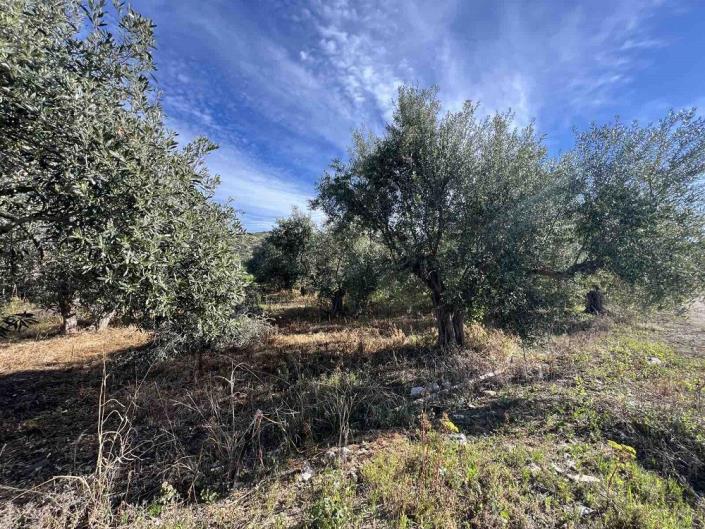 Image No.6-Plot for sale