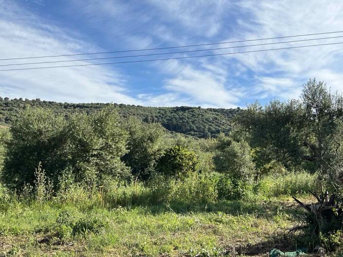 Image No.9-Plot for sale