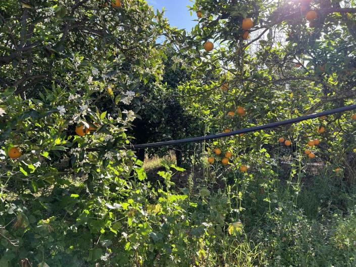 Image No.12-Plot for sale