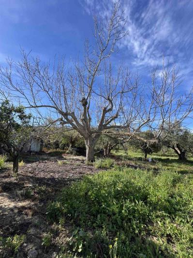 Image No.14-Plot for sale