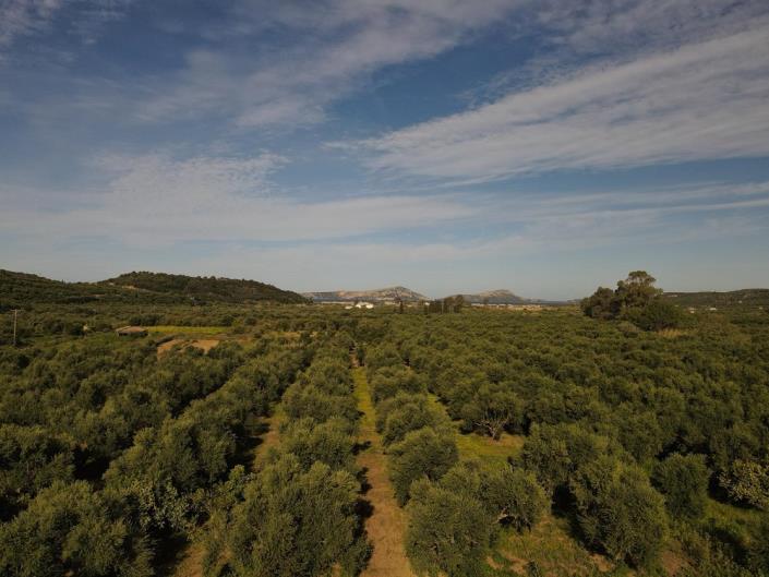 Image No.5-Plot for sale