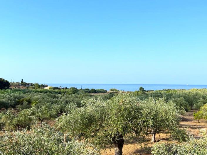 Image No.9-2 Bed House for sale