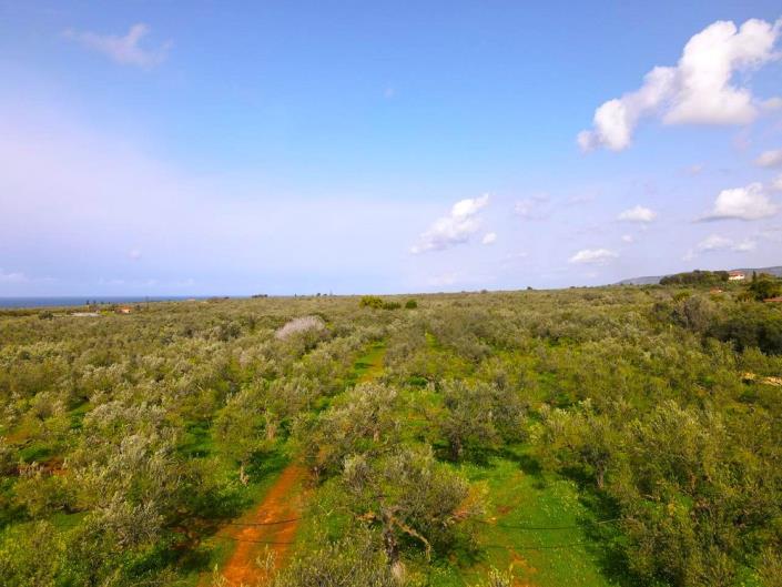 Image No.3-Plot for sale