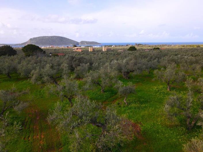 Image No.4-Plot for sale